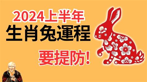 2024 兔年運程 1975|1975年属兔人2024年运势及运程详解